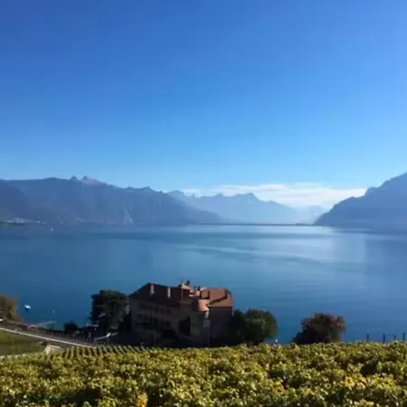 Lavaux Place In Swiss French Part Apartment