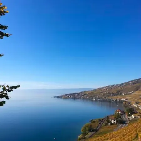 Apartment Lavaux Place In Swiss French Part