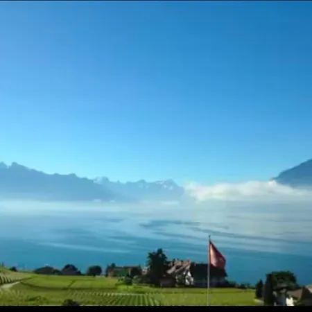 Lavaux Place In Swiss French Part Apartment *