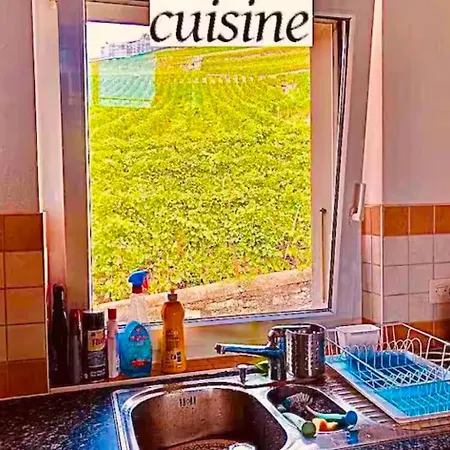 Apartment Lavaux Place In Swiss French Part *