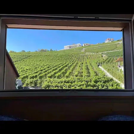 Lavaux Place In Swiss French Part