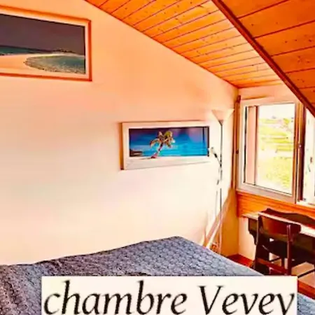 Lavaux Place In Swiss French Part Apartment Rivaz