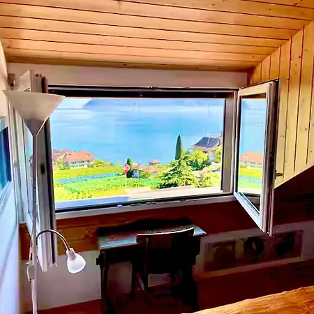 Lavaux Place In Swiss French Part * Rivaz