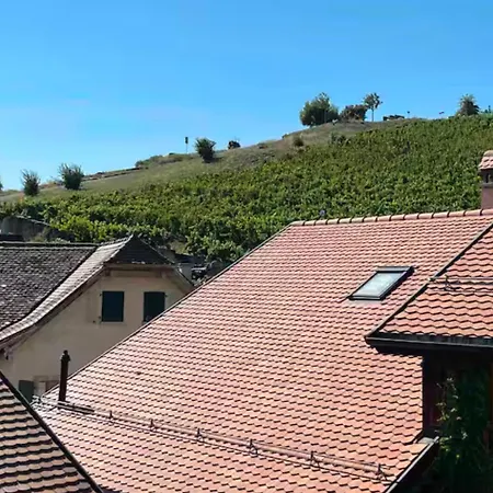 Lavaux Place In Swiss French Part
