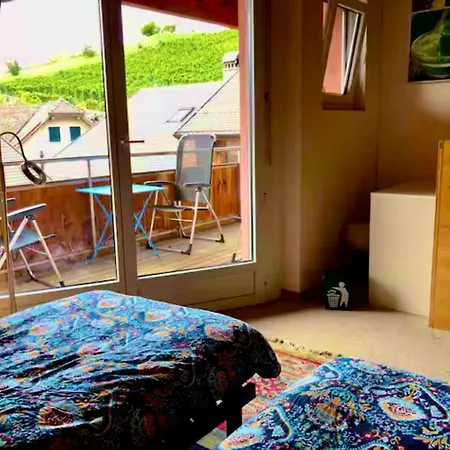 公寓 Lavaux Place In Swiss French Part