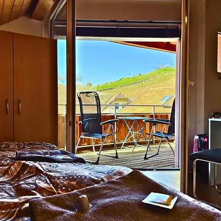 Lavaux Place In Swiss French Part Apartment *