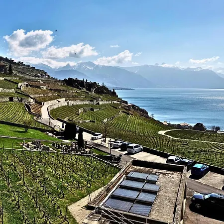 Lavaux Place In Swiss French Part Apartment