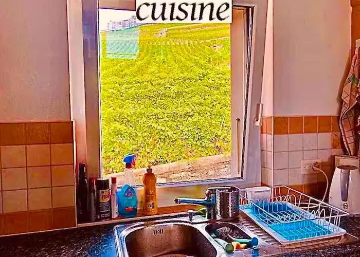 Апартаменты Lavaux Place In Swiss French Part *