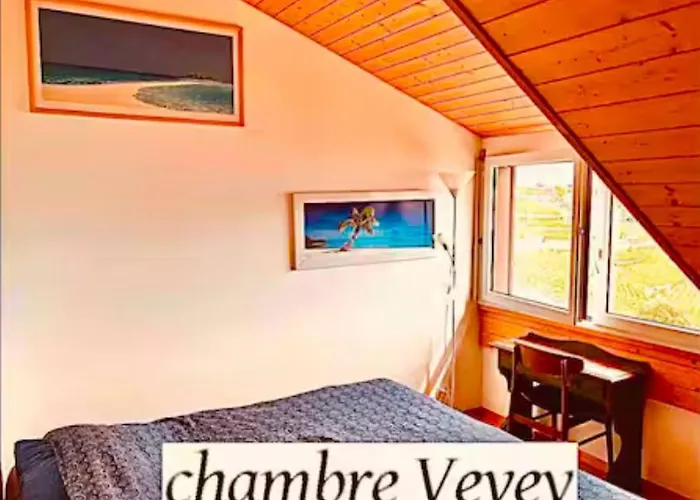 Lavaux Place In Swiss French Part Апартаменты Rivaz