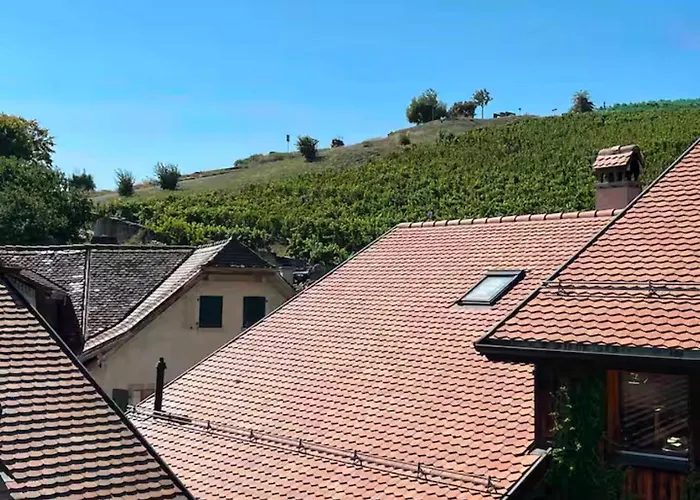 Lavaux Place In Swiss French Part