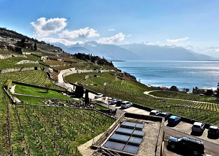 Lavaux Place In Swiss French Part Апартаменты