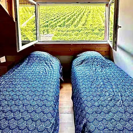 Lavaux Place In Swiss French Part Apartament *