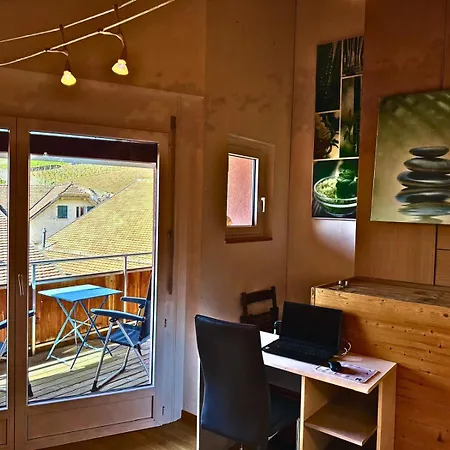 Lavaux Place In Swiss French Part Apartament *
