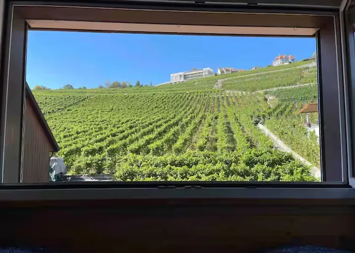 Lavaux Place In Swiss French Part