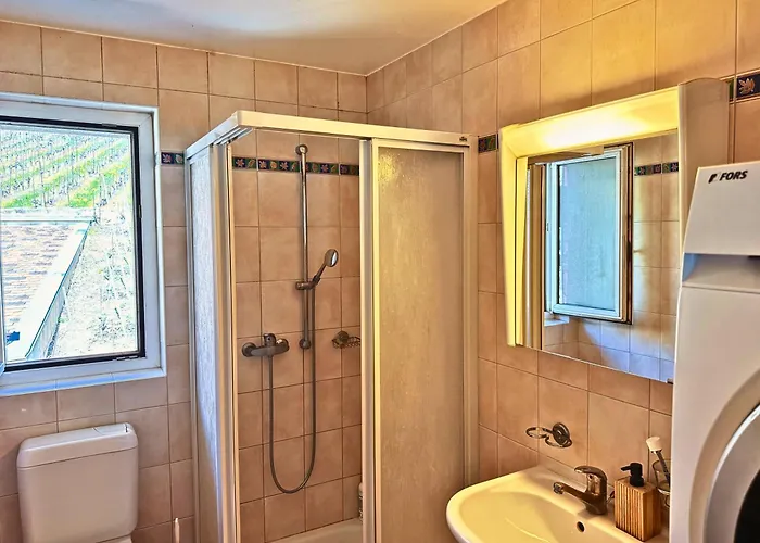 Lavaux Place In Swiss French Part Apartament