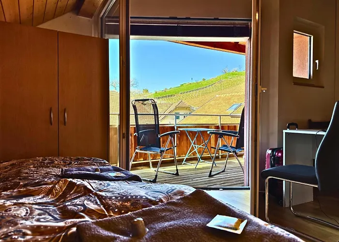 Lavaux Place In Swiss French Part Apartament *